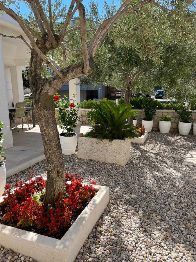 Apartman Stipic 1 Baška Voda Exteriör bild