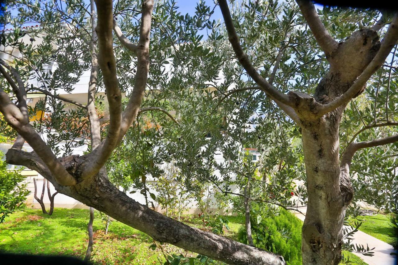 Apartman Stipic 1 Baška Voda Exteriör bild